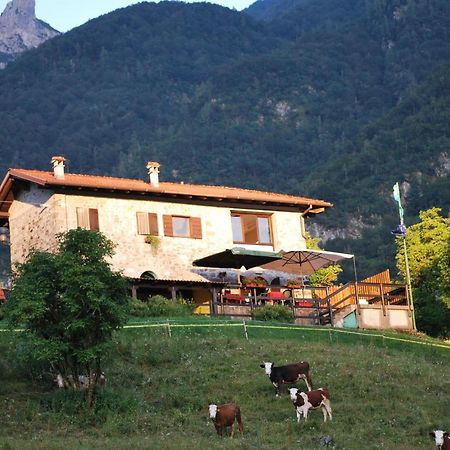 Rifugio Malga Grasia Caprizi Exterior photo