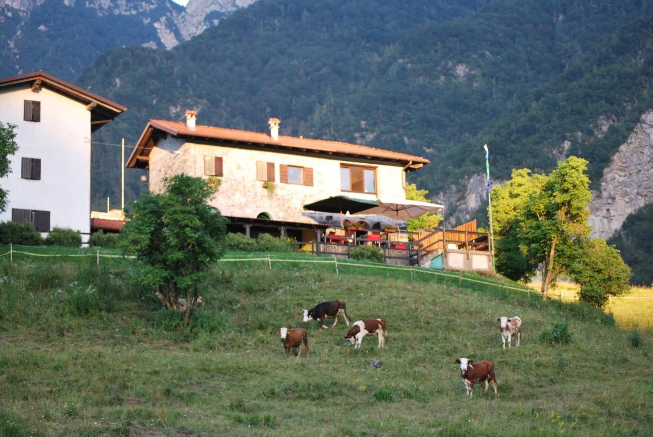 Rifugio Malga Grasia Caprizi Exterior photo