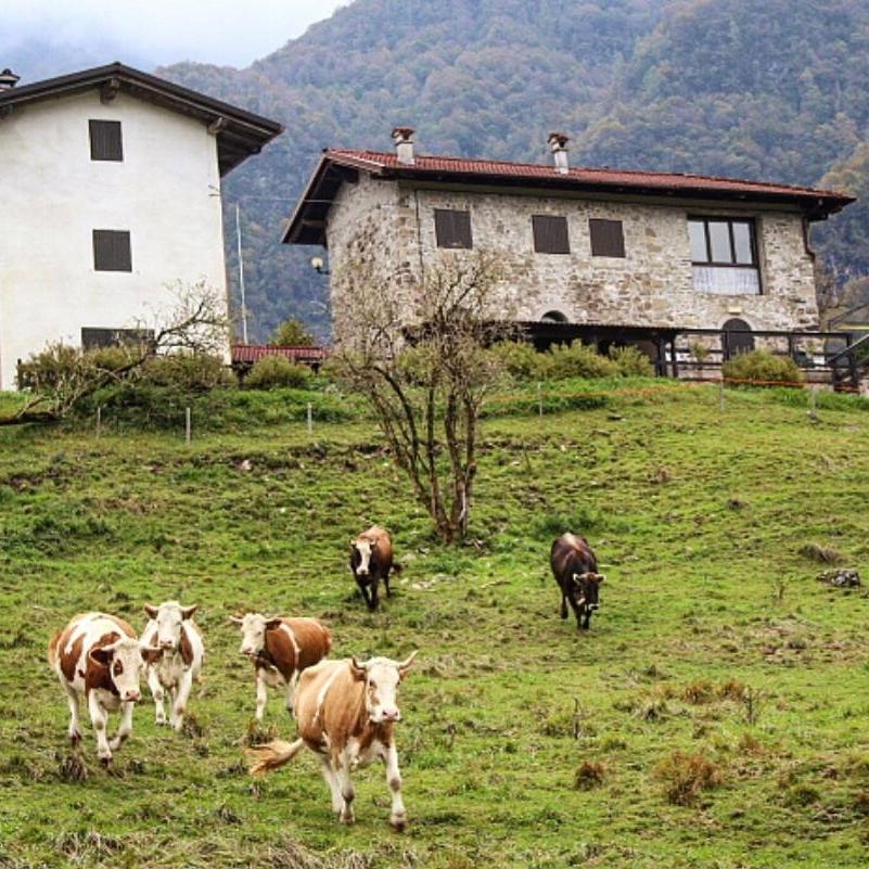Rifugio Malga Grasia Caprizi Exterior photo